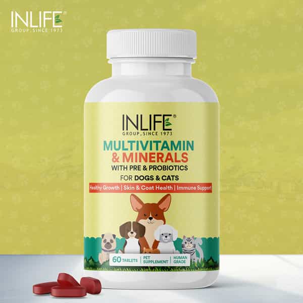 Inlife Multivitamin For Dog | Ginseng, Prebiotic, Probiotic Multivitamins, Zinc & Biotin, 60 Tablets