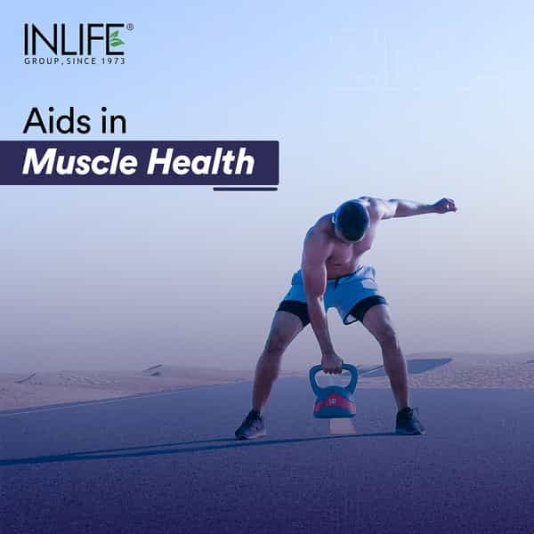 Inlife Zma (Zinc Magnesium Aspartate & Vitamin B6) For Men And Women 60 Tablets