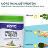 Oziva Protein & Herbs For Men Banana Caramel 500G | For Muscle Building