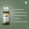 Armr Pro Immunity Shot Goodness Of Ayurveda & Antioxidants |Clinically Proven -Pack Of 20(60ml X 10)