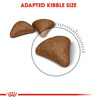 Royal Canin Hairball Care For Cats | 400 Grams | Dry Food | Dietary Fiber Blend