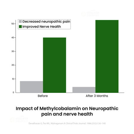 Vlado'S Himalayan Organics Vitamin B12 | For Men & Women - 60 Veg Tablets