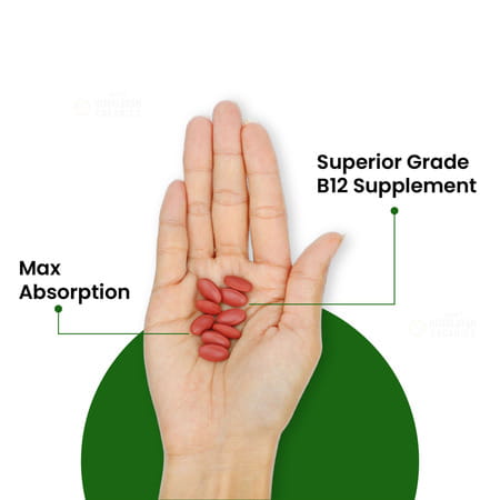 Vlado'S Himalayan Organics Vitamin B12 | For Men & Women - 60 Veg Tablets