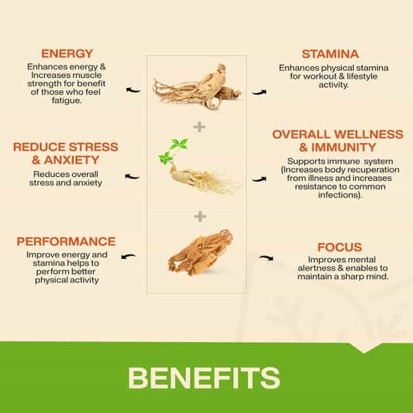 Myfitfuel Ginseng+ (Triple Strength- Korean | American | Siberian Ginseng) | (400Mg) | 90 Capsules