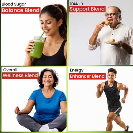 Sheopal'S Ayurvedic Herbal Diabdex Diabetes Care | 30 Capsules | Pack Of 1