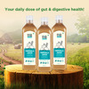 Everherb Triphala Juice - Supports Digestion & Gut Health - 1L Bottle (By Pharmeasy)