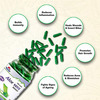 Quantum Naturals Aloe Vera Extract 500 Mg Capsule 120