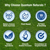 Quantum Naturals Aloe Vera Extract 500 Mg Capsule 120