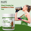 Inlife Plant Protein Powder - Pea | Quinoa & Brown Rice - 25G Protein - Chocolate | 500G