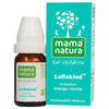 Dr. Willmar Schwabe India Luffakind Globules 10 Gm
