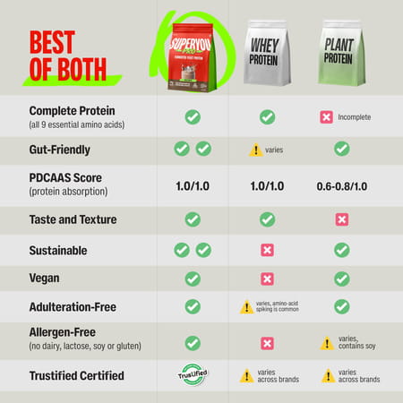 Superyou Pro Fermented Yeast Protein(Pack Of 5) | 24G Protein| Coffee Pdcaas Of 1 - 180G