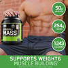 Optimum Nutrition (On) Serious Mass High Weight Gain Powder - 6 Lbs 2.72 Kg (Chocolate)