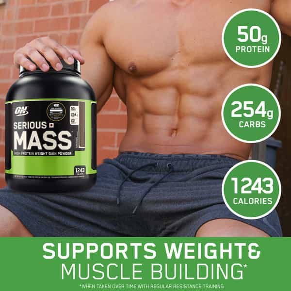 Optimum Nutrition (On) Serious Mass High Weight Gain Powder - 6 Lbs 2.72 Kg (Chocolate)