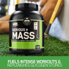 Optimum Nutrition (On) Serious Mass High Weight Gain Powder - 6 Lbs 2.72 Kg (Chocolate)
