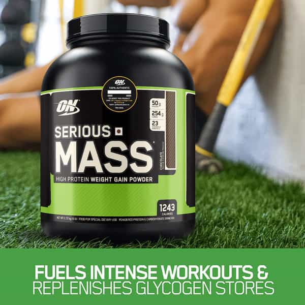 Optimum Nutrition (On) Serious Mass High Weight Gain Powder - 6 Lbs 2.72 Kg (Chocolate)
