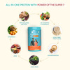 Hk Vitals Proteinup Active | All In One Triple Blend Protein (Vanilla | 400 G / 0.88 Lb)
