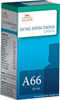 Allen Laboratories A66 Lung Infection Drops 30 Ml