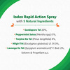 Iodex Rapid Action Spray - 35 Gm