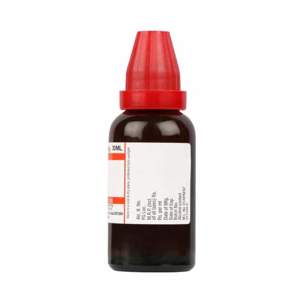 Dr. Willmar Schwabe India Phytolacca Mt 30Ml