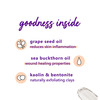 Plum Grape Seed And Sea Buckthorn Renaissance Face Mask - 100Gm