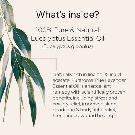 Puraroma Eucalyptus Essential Oil - 10 Ml