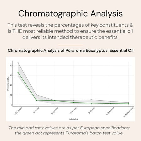 Puraroma Eucalyptus Essential Oil - 10 Ml