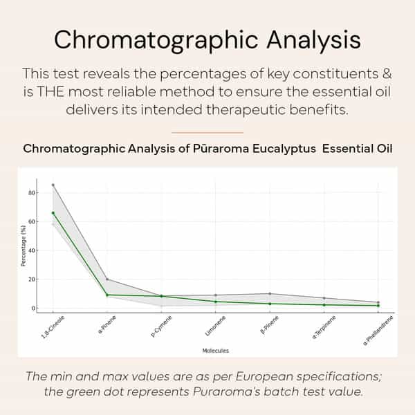 Puraroma Eucalyptus Essential Oil - 10 Ml