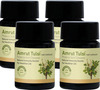 Amrut Tulsi Capsules 10 Capsules (Pack Of 4)