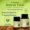 Amrut Tulsi Capsules 10 Capsules (Pack Of 4)