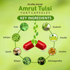 Amrut Tulsi Capsules 10 Capsules (Pack Of 4)