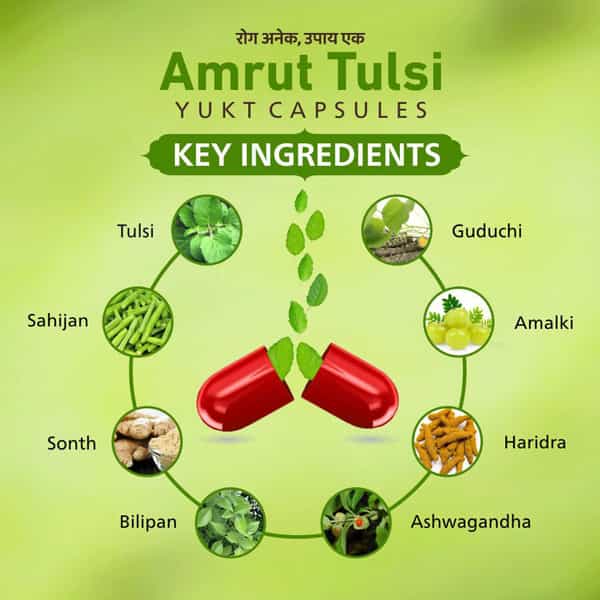 Amrut Tulsi Capsules 10 Capsules (Pack Of 4)