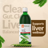 Krishna's Bhumi Amla Juice - 1 Litre