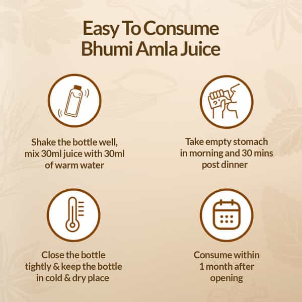 Krishna's Bhumi Amla Juice - 1 Litre