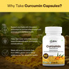 Oribite Curcumin Turmeric Capsules For Joint & Immunity 60 Capsules