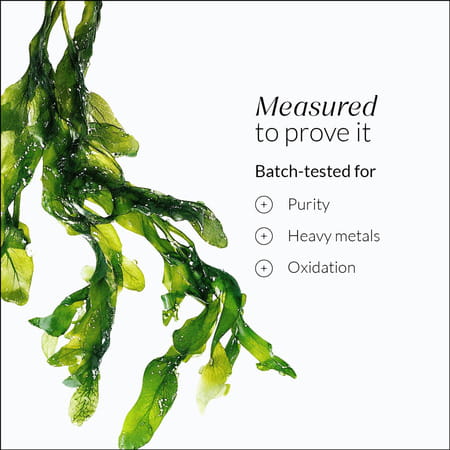 Nutrova Complete Omega 3 60N