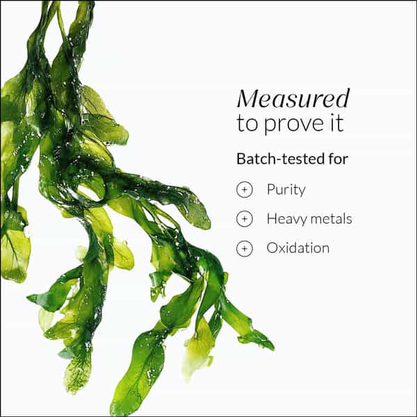 Nutrova Complete Omega 3 60N