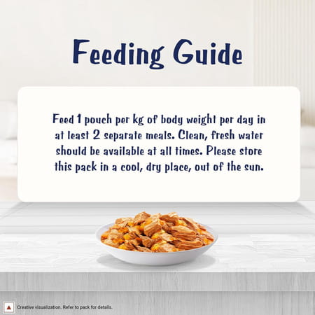 Purina Felix With Chicken In Jelly | Wet Food For Adults | Complete And Balanced Cat Food 12 X 85 G