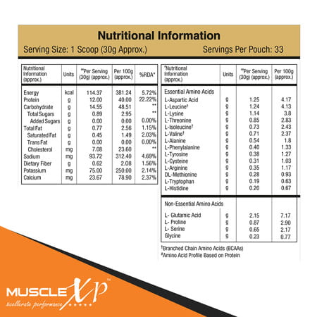 Musclexp Beginner'S With Whey Protein And Digestive Enzymes Double Chocolate 1kg Pouch (2.2 Lb)