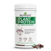 Nutrazee 100% Plant Protein Powder Vegan (400g)