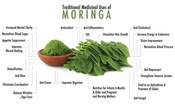 Ved Tattva Moringa 700 Tablets