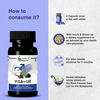 Herbs & Health - Vigayur (60 Capsules)