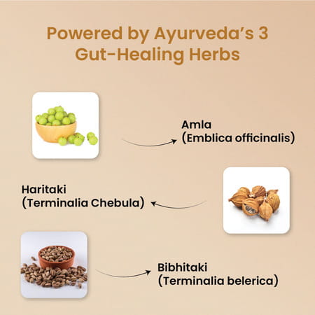 Vlado'S Himalayan Organics Triphala Powder | Triphala Churna | Gut Immune & Intestinal Health - 100g