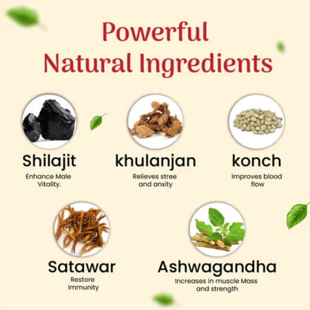 Cipzer Habb-E-Jawahar 10 Pills | Supports Energy| Strength| Vigor & Vitality