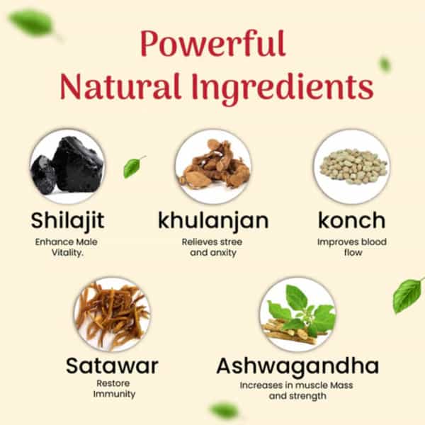Cipzer Habb-E-Jawahar 10 Pills | Supports Energy| Strength| Vigor & Vitality