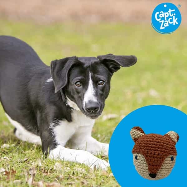 Captain Zack Crochet Fox Dog Toy