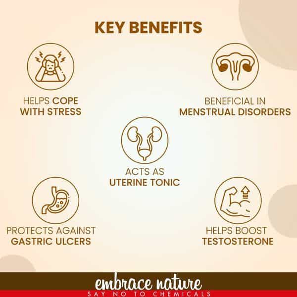 Nature Sure Multani Mitti Face Pack Powder 200G With Rose Water 50Ml - 2 Packs