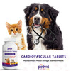 Petvit Cardiovascular Tablets - All Breeds Of Dogs & Cats 60 Chewable Tablets