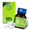 Sbl Calcarea Fluorica Biochemic Tablet 6X 25 Gm Pack Of 2