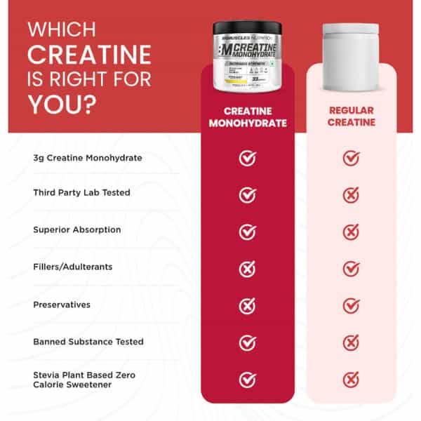 Bigmuscles Nutrition Benchmark Creatine Monohydrate 250 Grams