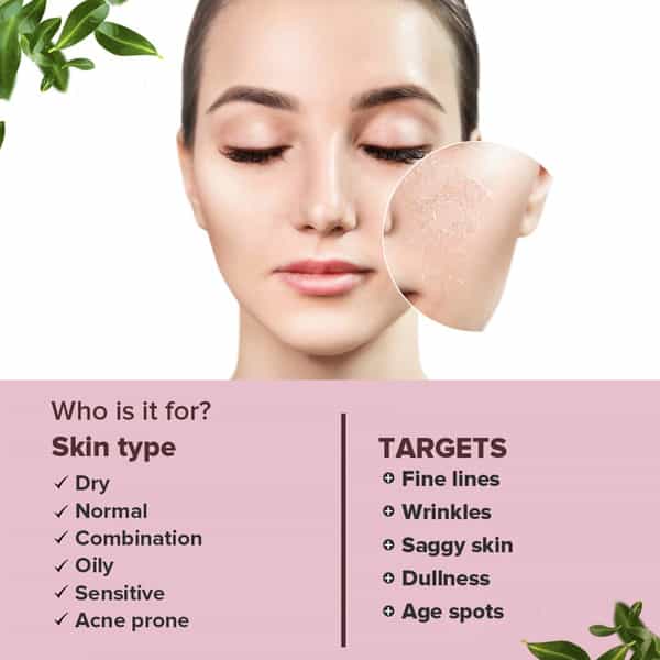 Cgg Cosmetics Retinol 2.5%- Hyaluronic Acid- Niacinamide & Aloe Vera Facial Serum - Wrinkle Serum